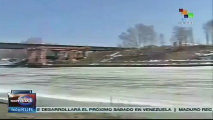 Rusia endurece medidas contra tala de árboles