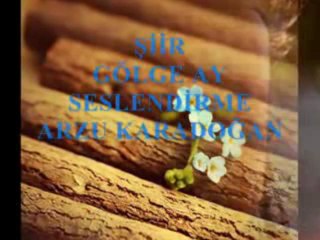 yüreğime dokunma_Arzu Karadoğan yorumuyla Gölge Ay şiiri