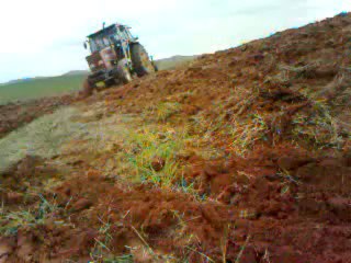 fiat 80-66 lar nadasta 2012