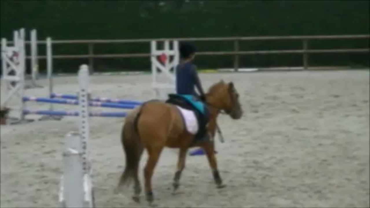 équitation saut d'obstacles