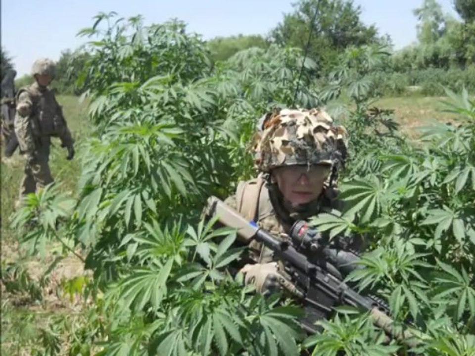 Cobra 22 Bravo H16 (A Coy 3 Rifles)