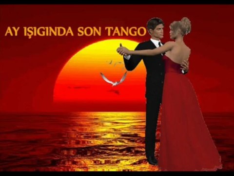 SEVDİGİME HİÇ PİŞMAN OLMADIM -