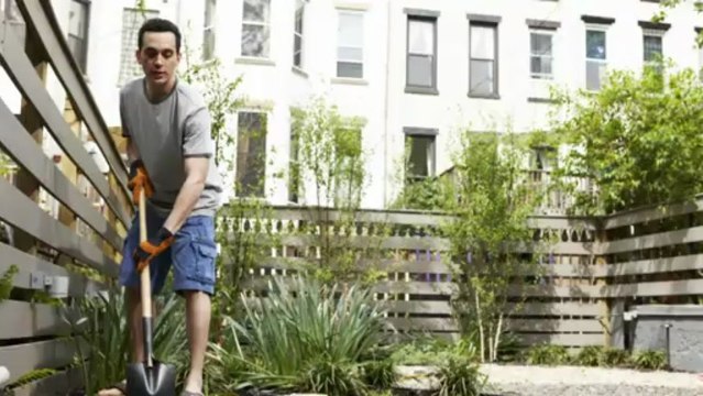 Baumfällung - Krefeld Dienstleistung Pyttel