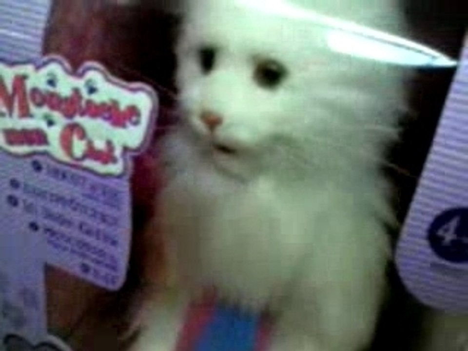 cha ds carrefour brive angie juju