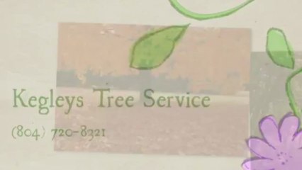 Kegleys Tree Service - (804) 720-8321