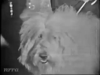 Annette "Jo-Jo The Dog Faced Boy" (1959)