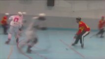 Demi finale prenat roller hockey : Aix vs Nimes 2013
