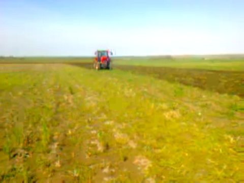 massey ferguson 5455 tiller çekımı 2013 kerem