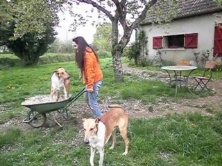 Le printemps (?) donne des envies de jardinage... ou de voyage ;-)