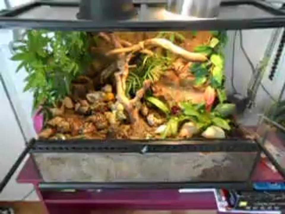 terra avec fontaine
