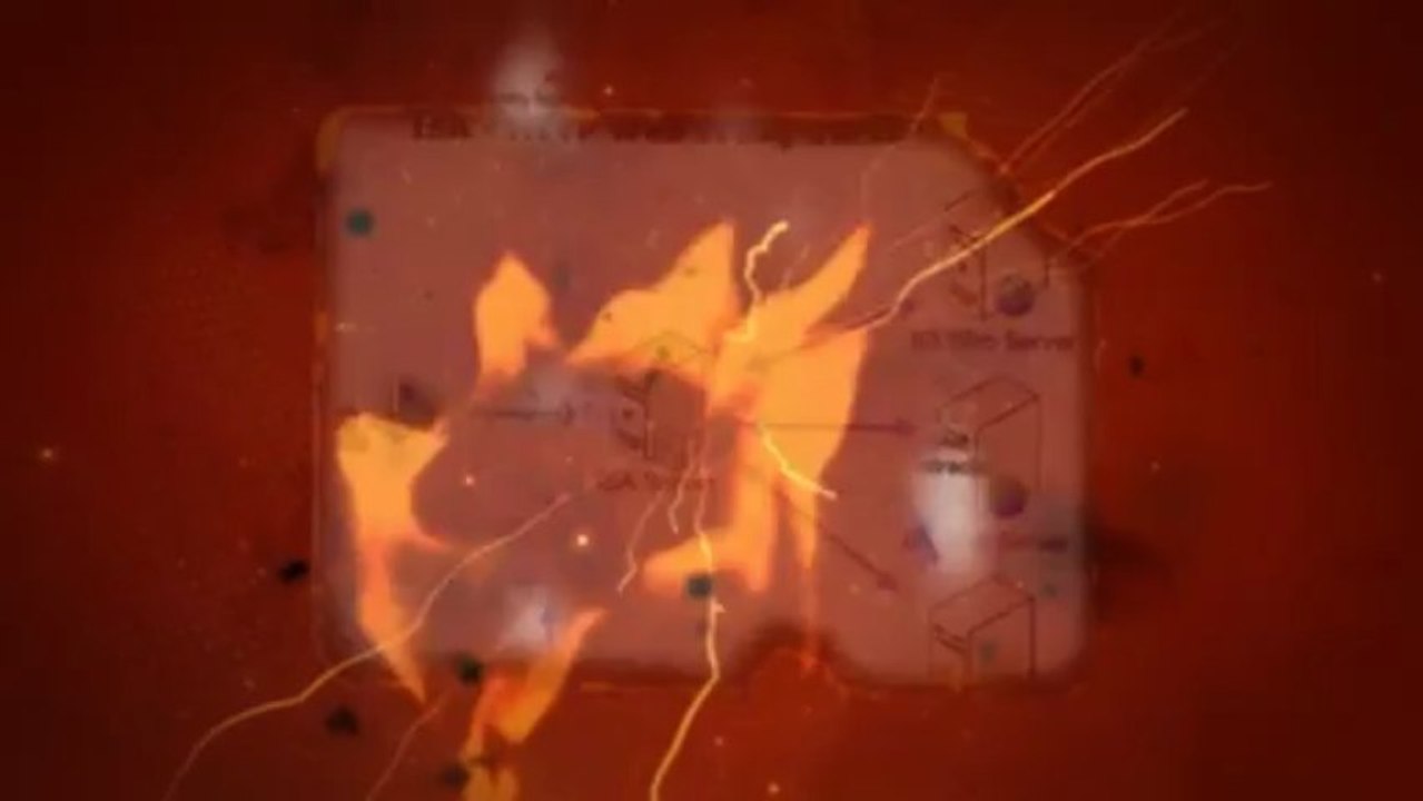 The VIS Security Features