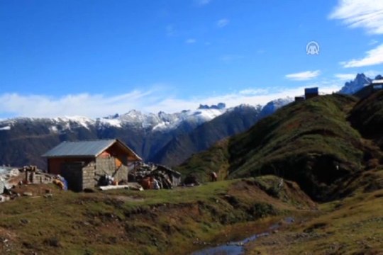 Bitkisel zenginliğin dörtte biri Kaçkarlar'da