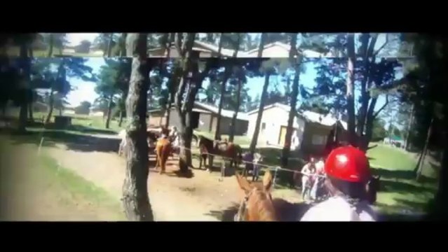 Massif Du Cantal - Auvergne
