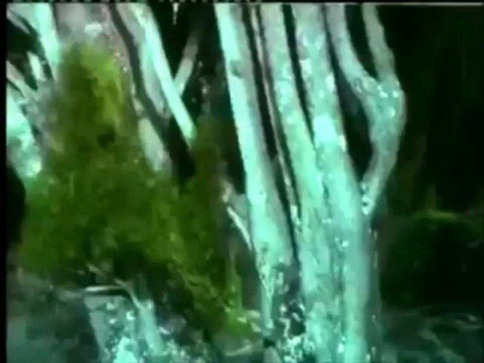 In Gowan Ring -- Hazel Steps