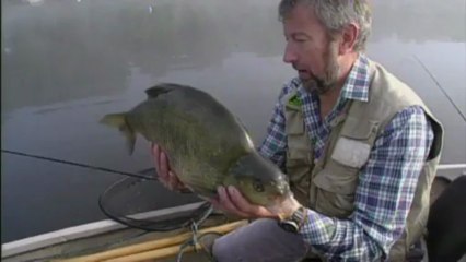 John Wilson's Top 10 Greatest catches - No. 1