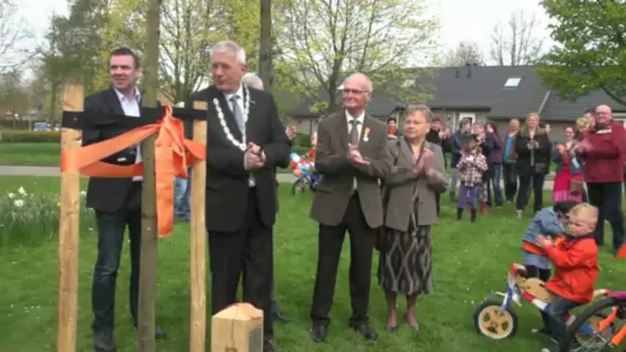 Koninginnedag 2013