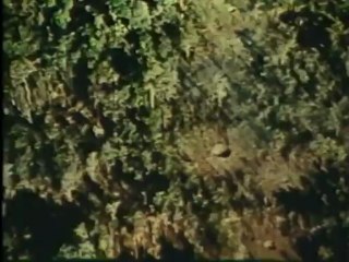 Combat.Vietnam.2of6.Air.Power.At.The.Khe.Sahn.XviD.MP3