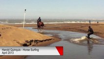 Horse Surfing - Harold Quinquis - April 2013