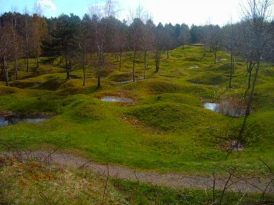 Frères d'Armes - Bataille de Verdun (1916)