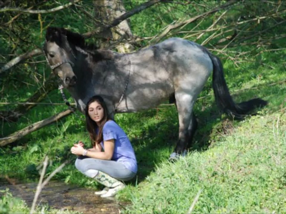 Ninou