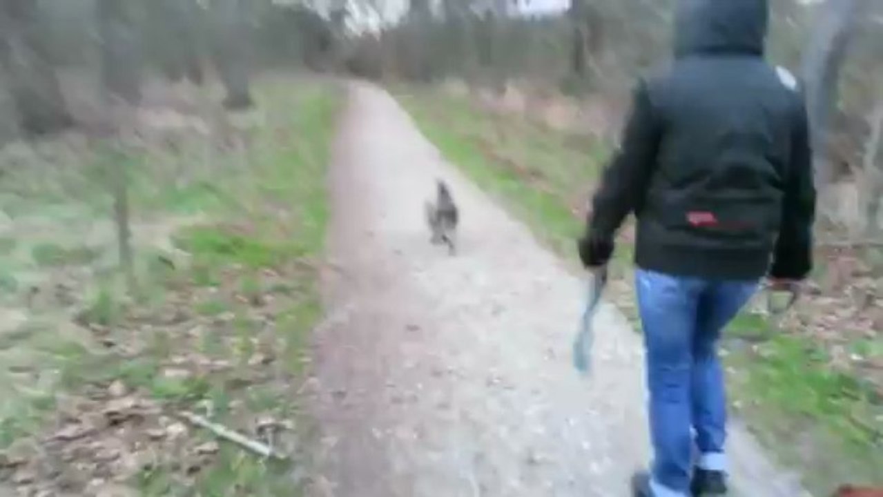 Cathy et ses BB