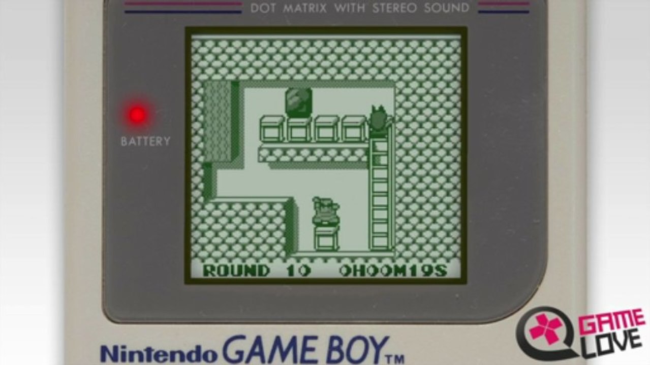 Pitman : Les chats sont intelligents