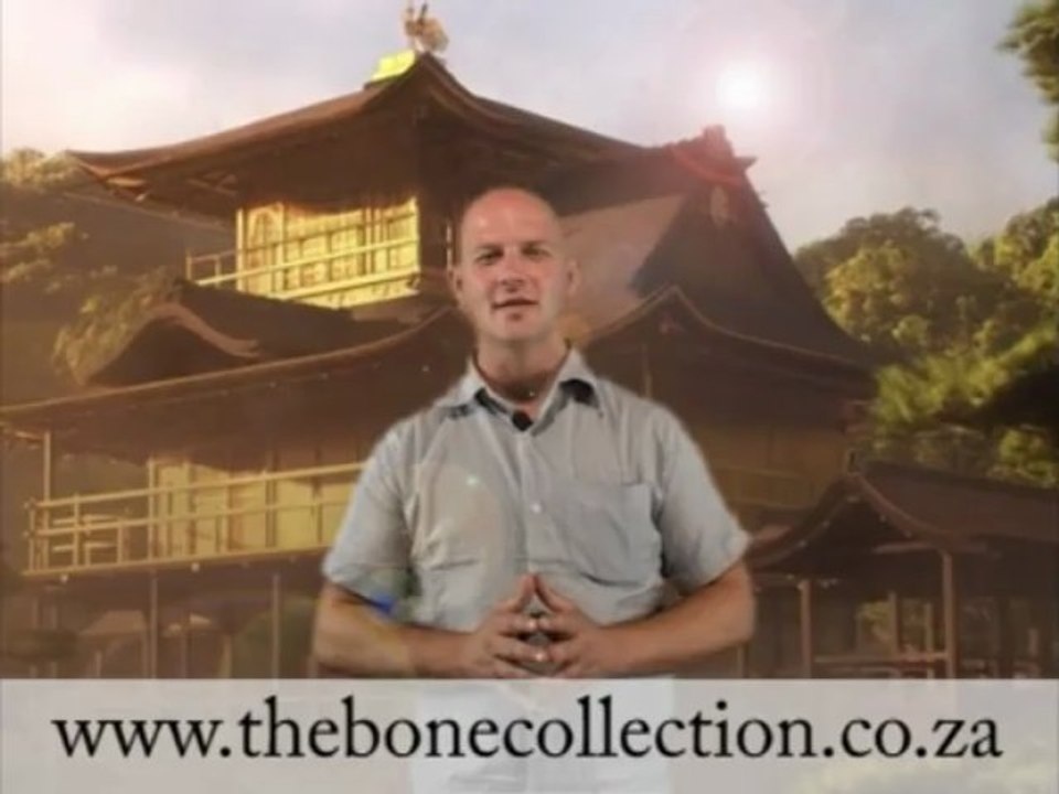 iPhone Accessory | What Is The Bone Collection?