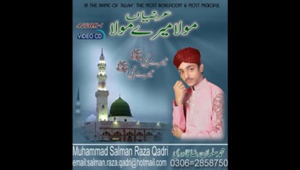 Salman Raza Qadri 2013 Gujrati naat 03462933997  03149394189