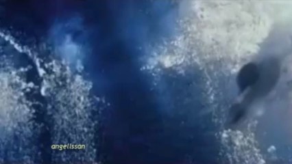 Thierry David - L'Invitation au Mystere