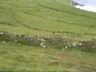 Midnight Walker by Davy Spillane