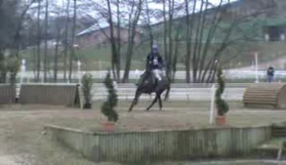 fontenay cross cecile