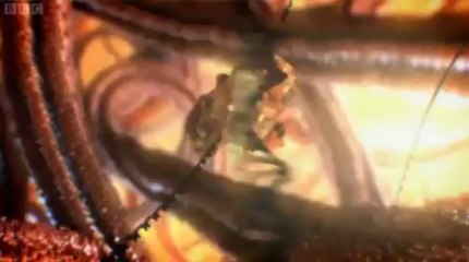 The Cell: Secret Immune System