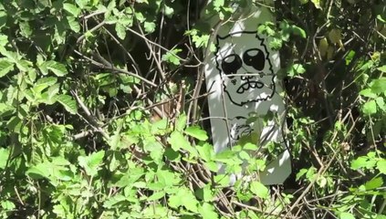 Black Star Hiking- Ozcar's Mdrn Life