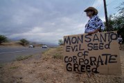 The Stream - Hawaii rallies to 'Evict Monsanto'