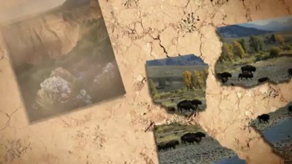 How many of the national parks united states are there?