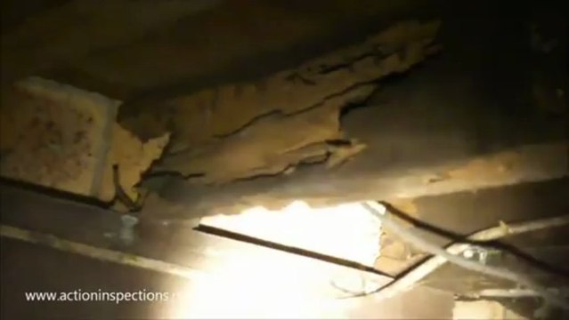 Moisture & Termite Damage - Building Inspections Brisbane