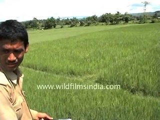 This is one bad ass pussy cat!