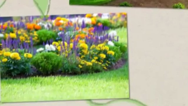 A Cut Above Lawn Maintenance (225) 806-8131