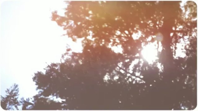 Cash For Cars Philadelphia