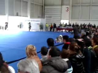 Exposición Internacional Canina  Irun- 3