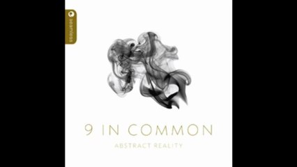 9 In Common - Kid (Seamless Recordings)