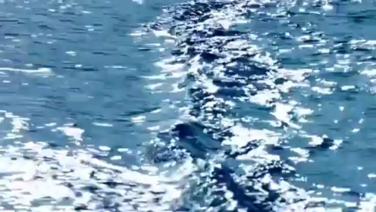 Beyoncé as Mrs. Carter in H&M - TV NON Onair 30sec (Dress)