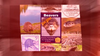 Beaver Tails - Amazing Animal Books