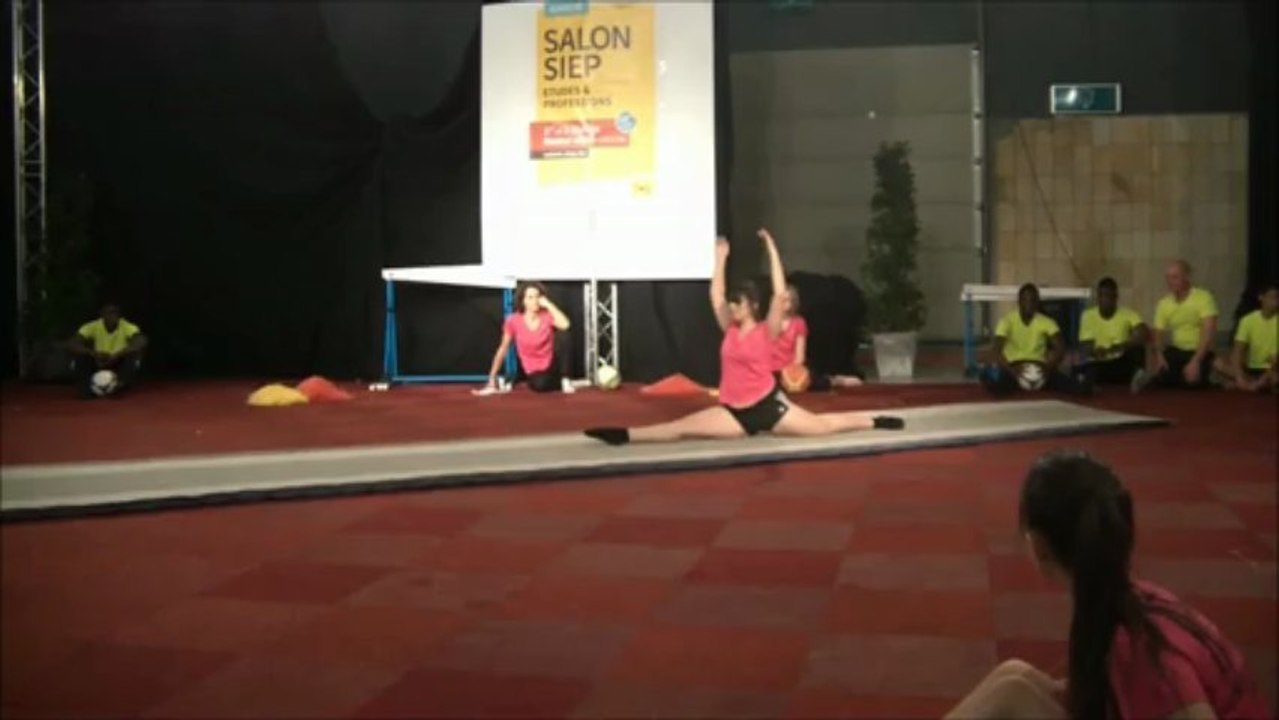 siep2013_5