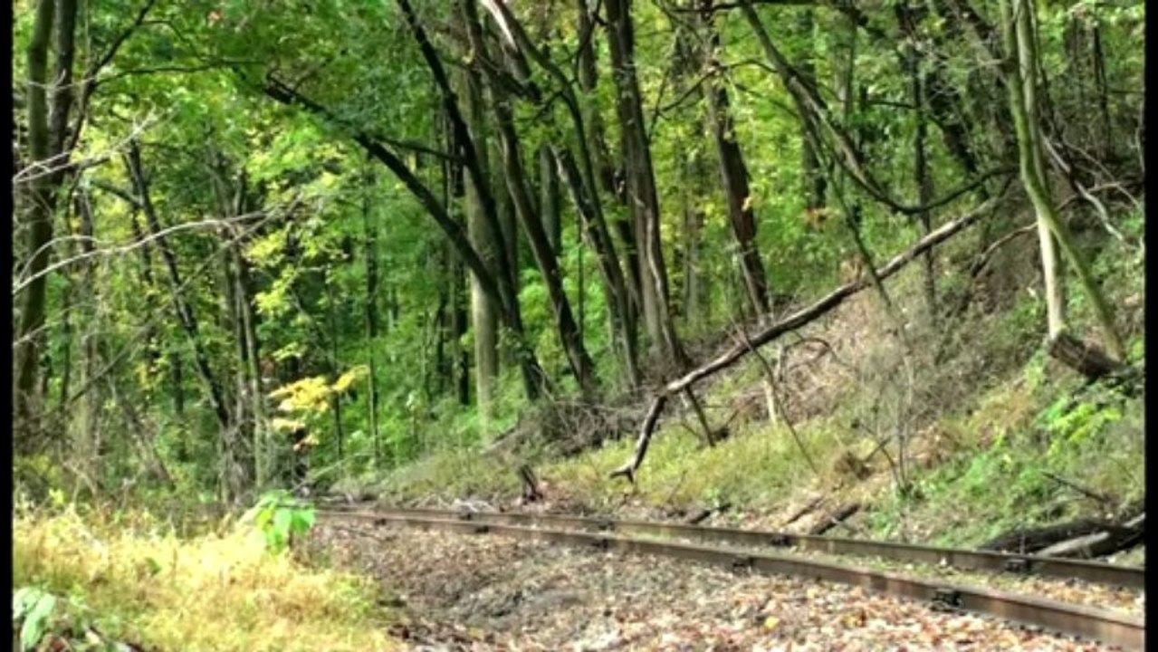 PRV - Chasin the Perk Branch