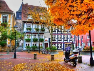 Astonishing Beauty ! Exciting Photos !