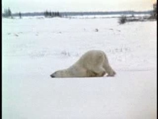 ALLER AU TRAVAIL LE LUNDI MATIN