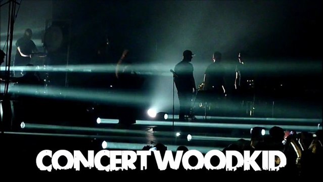 Printemps de Bourges 2013 - WoodKid