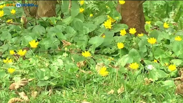 Het waren mijn buren van start op TV Noord - RTV Noord