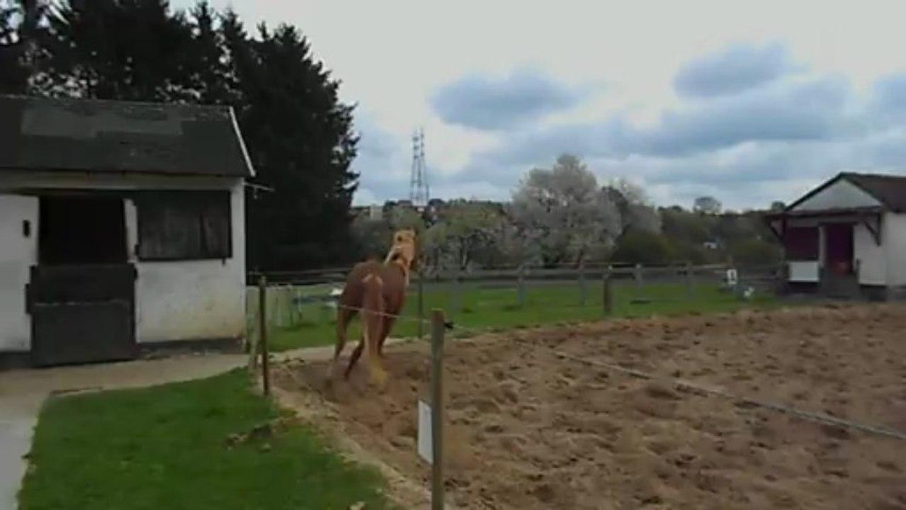Kaizer laché en piste